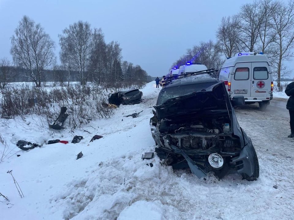 Авария, Дети, ДТП, Происшествия, Смерть, Калужская область, Прокуратура, Ферзиковский район