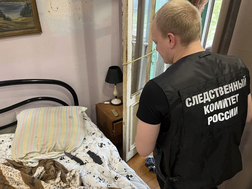 Криминал, Поножовщина, Происшествия, Убийство, Боровский район, Город Ермолино, Калужская область, Следственный комитет