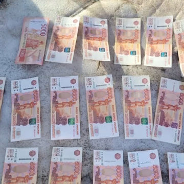 Криминал, Мошенничество, Общество, ФСБ