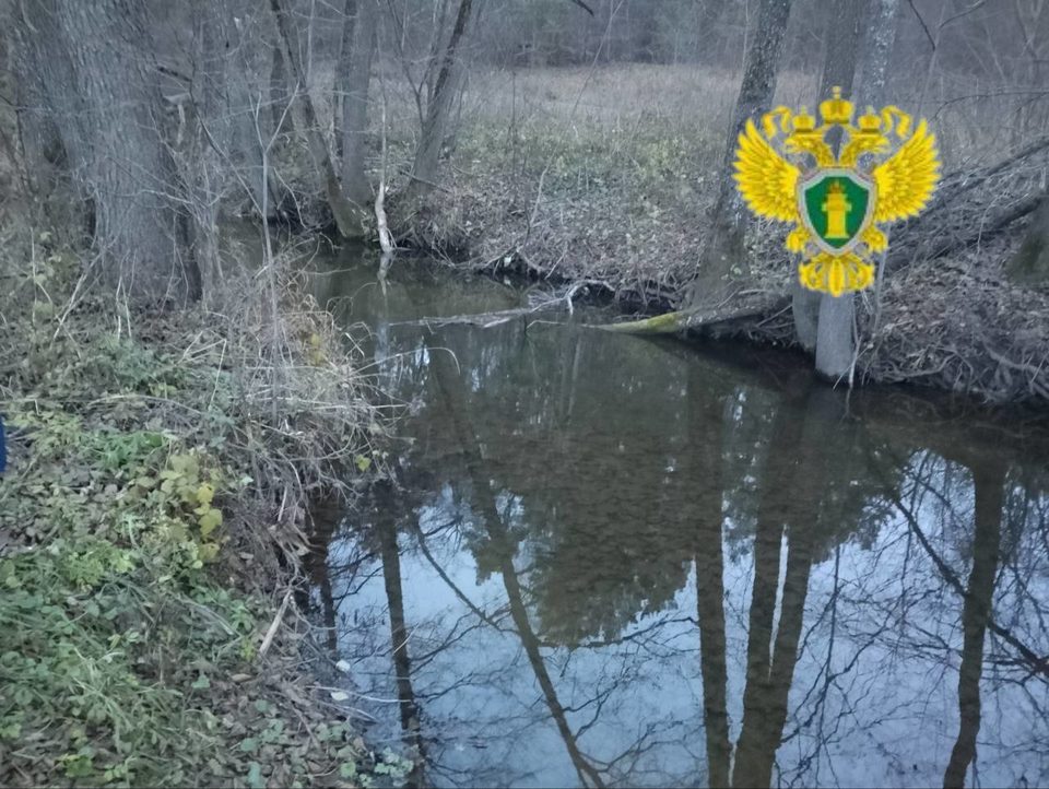 Общество, Прокуратура