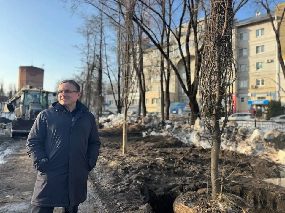 Общество, Озеленение города, Дмитрий Денисов