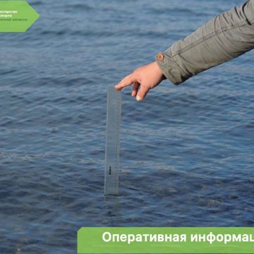 Общество, Паводок