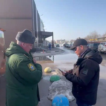 Армия, Мигранты, Общество, Следственный комитет