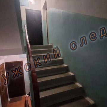 Алкоголь, Избиение, Криминал, Нападение, Пьянство, Убийство, Город Обнинск, Калужская область