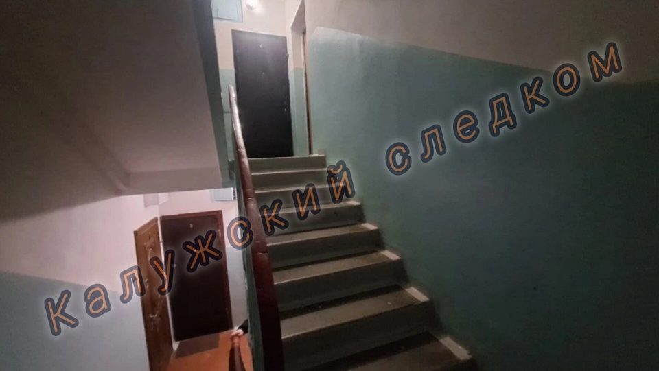 Алкоголь, Избиение, Криминал, Нападение, Пьянство, Убийство, Город Обнинск, Калужская область