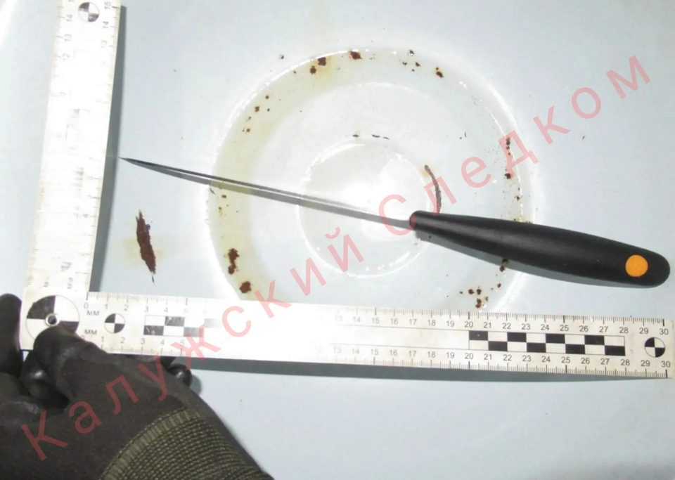 Криминал, Нападение, Поножовщина, Убийство, Город Людиново, Калужская область, Людиновский район