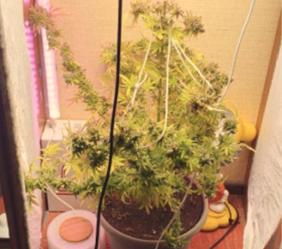 Криминал, Наркотики, Город Калуга, Калужская область, Полиция