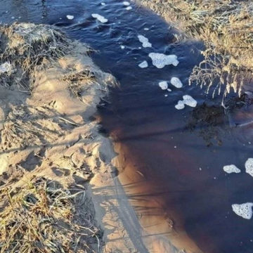 Криминал, Экология, Геннадий Ананьев, Город Людиново, Калужская область, Людиновский район