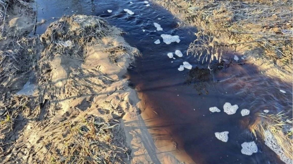 Криминал, Экология, Геннадий Ананьев, Город Людиново, Калужская область, Людиновский район