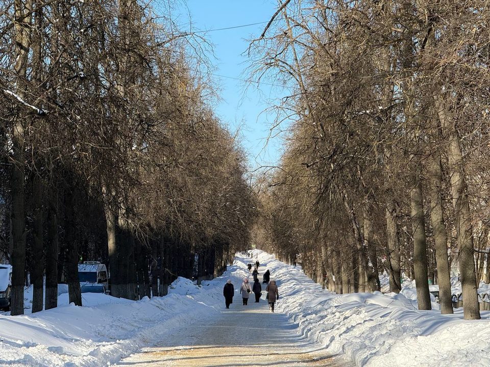 Благоустройство города, Общество, Озеленение города