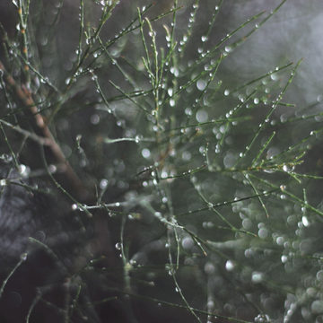 Погода, Город Калуга, Калужская область