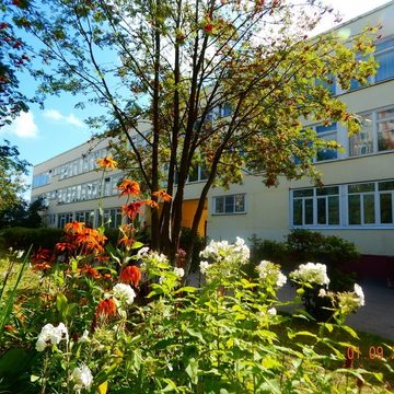 Здоровье, Общество