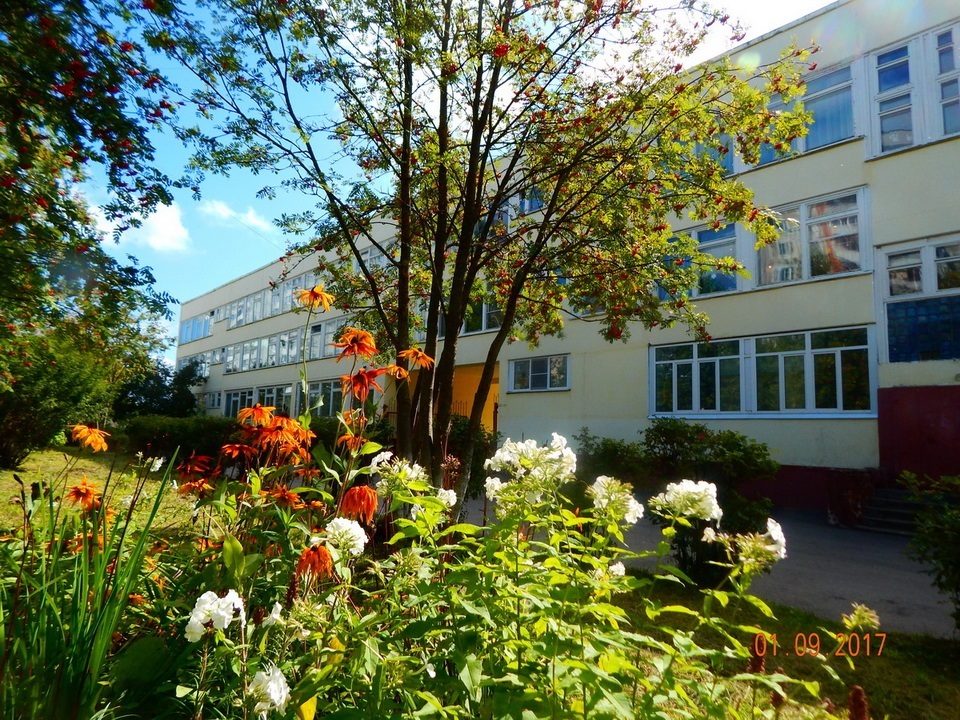 Здоровье, Общество