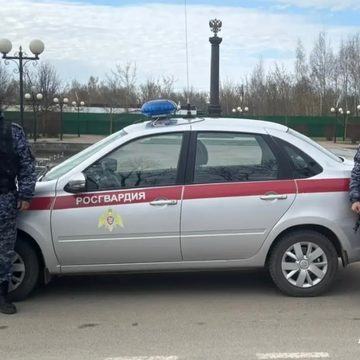 ДТП, Происшествия, Козельский район, Росгвардия