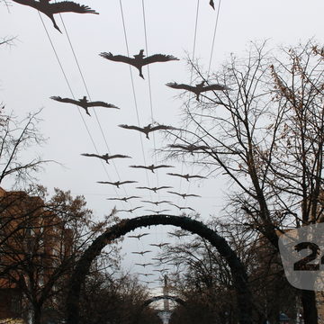 Великая Отечественная война, День Победы, Общество