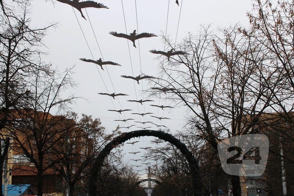 Великая Отечественная война, День Победы, Общество