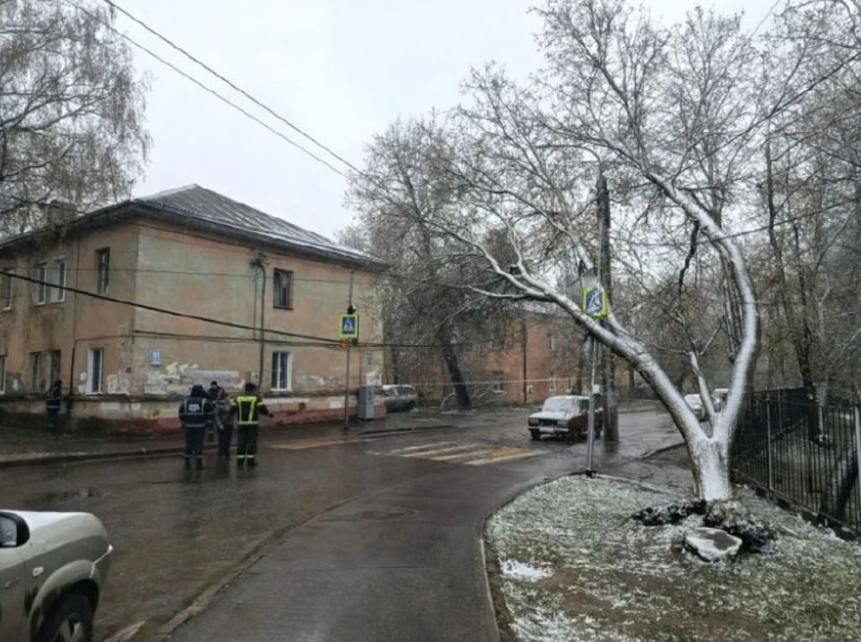 Деревья, Погода, Происшествия, Боровский район, Город Калуга, Город Обнинск, Калужская область