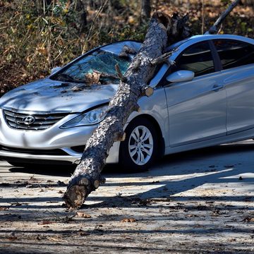 Авто, Деревья, Несчастный случай, Погода, Происшествия, Город Калуга, Калужская область