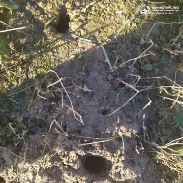 Сельское хозяйство, Экономика