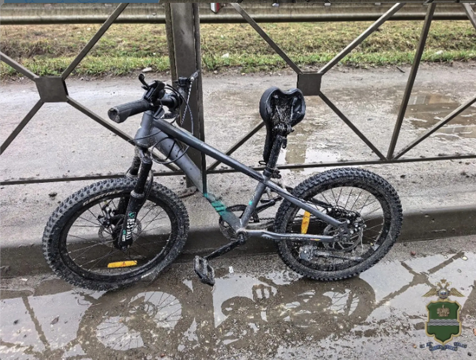 Дети, ДТП, Происшествия, ГИБДД, Жуковский район