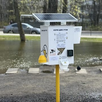 Животные, Общество, Город Калуга, Микрорайон Кубяка, Сквер Содружества