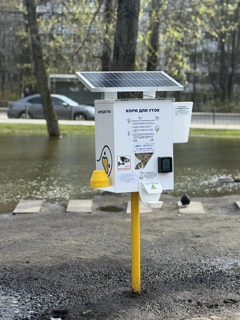 Животные, Общество, Город Калуга, Микрорайон Кубяка, Сквер Содружества