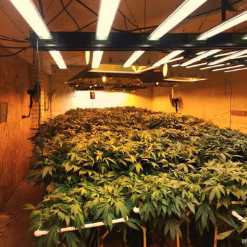 Криминал, Наркотики, Город Калуга, Калужская область, Полиция