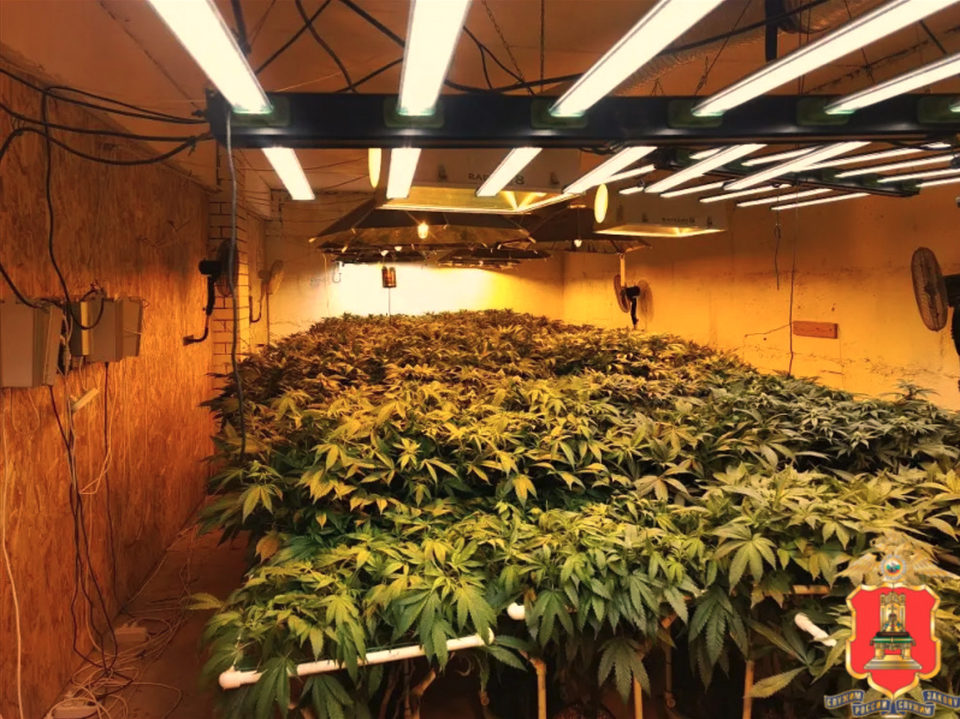 Криминал, Наркотики, Город Калуга, Калужская область, Полиция