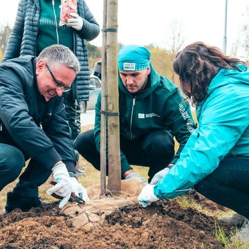 Общество, Озеленение города, Дмитрий Денисов