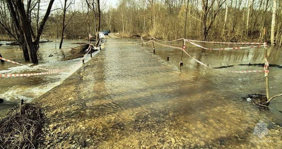 Паводок, Происшествия, Боровский район