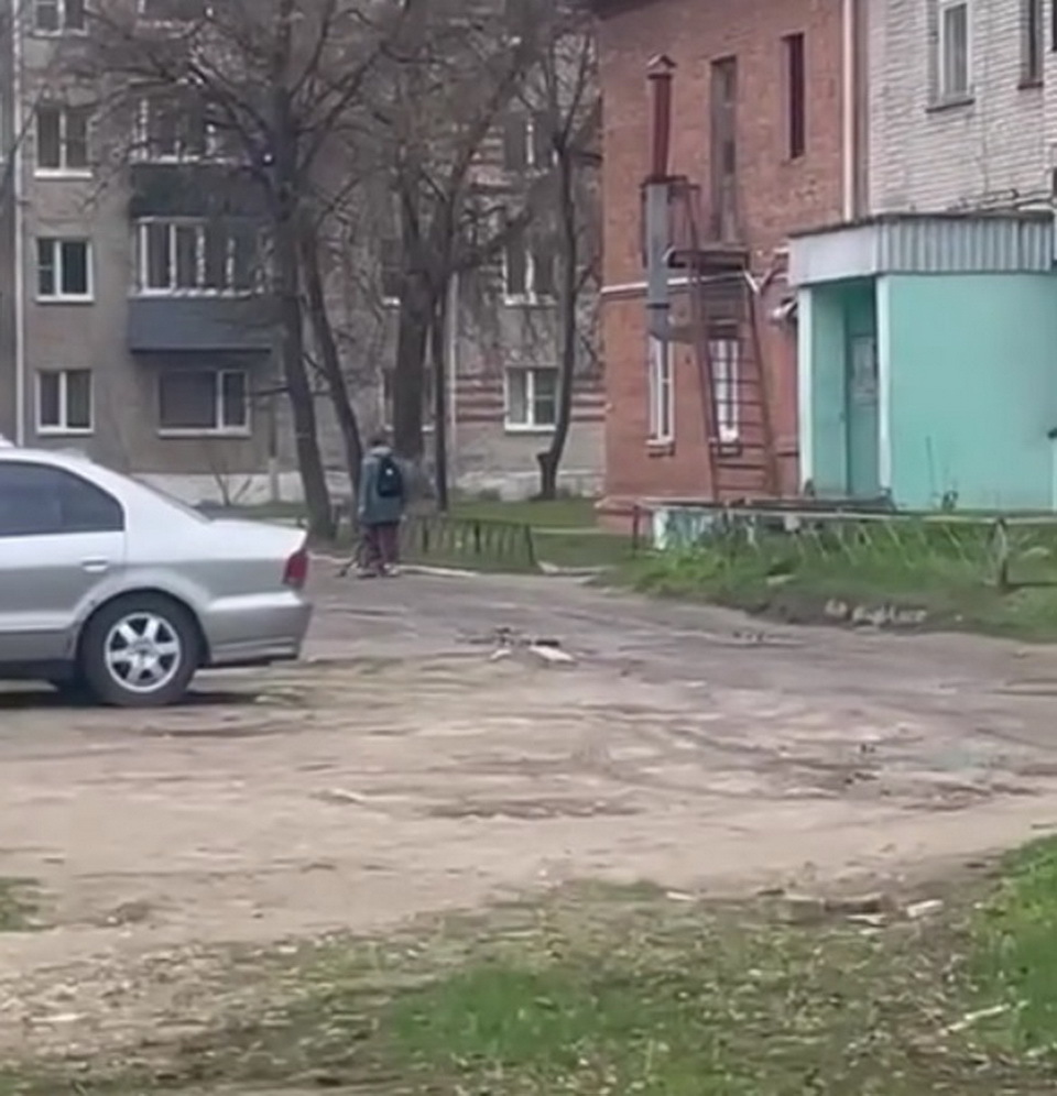 Животные, Происшествия, Жуковский район, Полиция