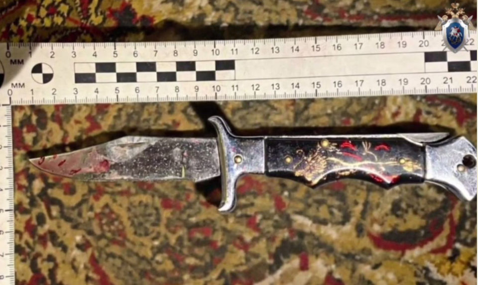 Избиение, Криминал, Нападение, Поножовщина, Суд, Убийство, Город Сухиничи, Калужская область, Сухиничский район