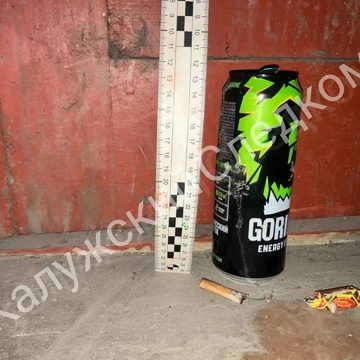 Избиение, Криминал, Нападение, Покушение, Убийство, Город Козельск, Калужская область, Козельский район