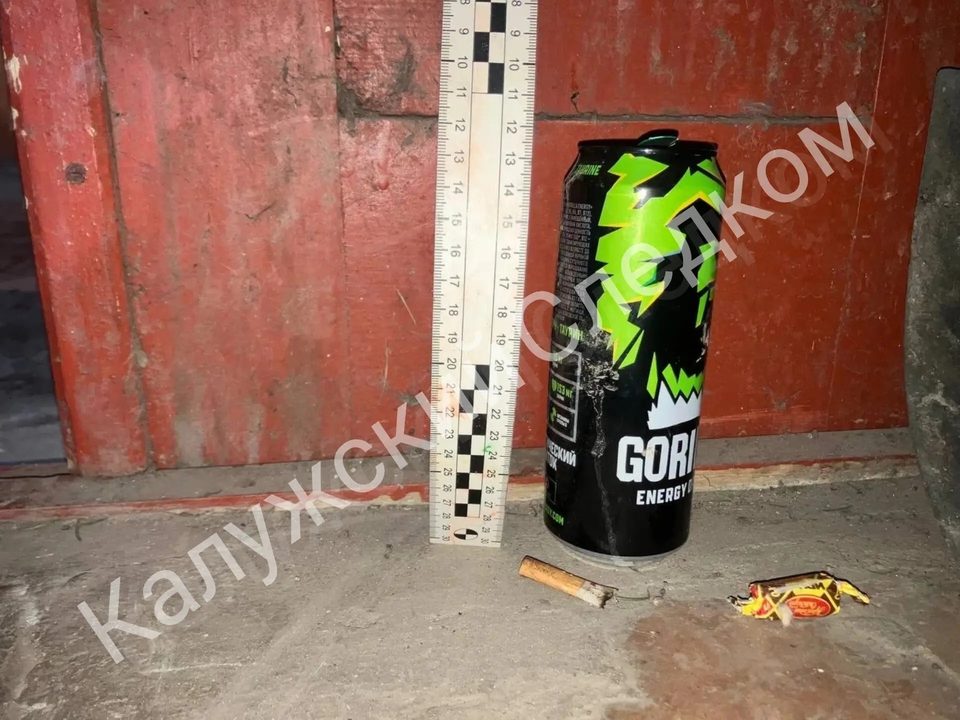 Избиение, Криминал, Нападение, Покушение, Убийство, Город Козельск, Калужская область, Козельский район