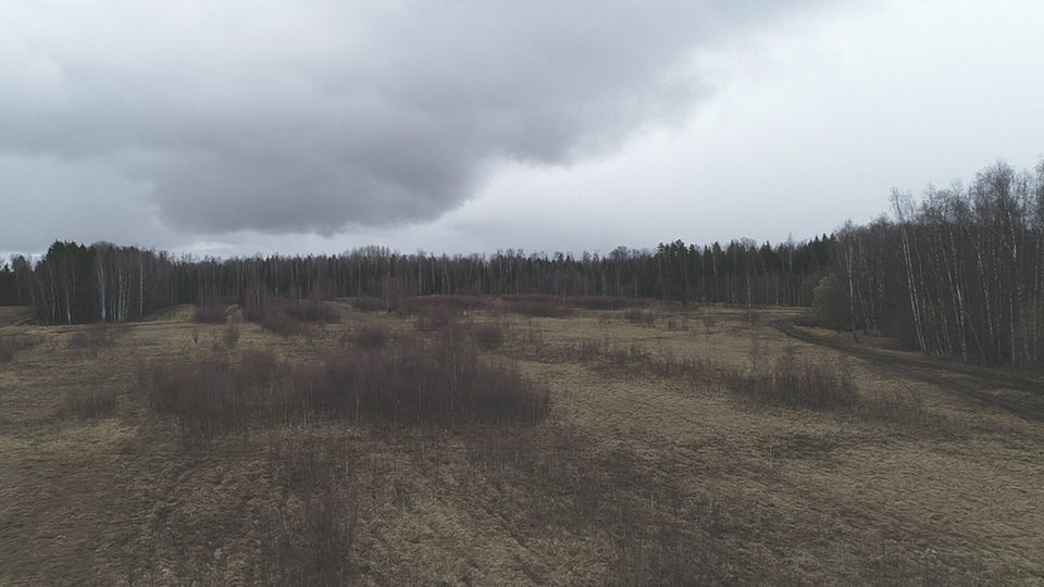 Общество, Сельское хозяйство