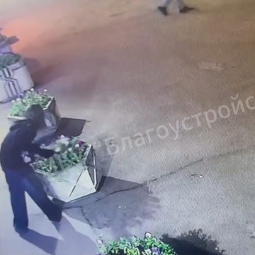 Благоустройство города, Вандалы, Криминал, Хулиганство, Цветы, Город Обнинск, Калужская область
