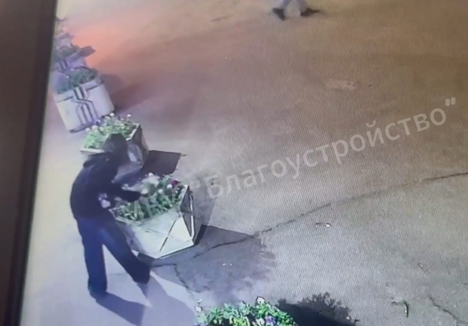 Благоустройство города, Вандалы, Криминал, Хулиганство, Цветы, Город Обнинск, Калужская область