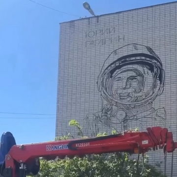 Общество, Елизавета Кушлянская