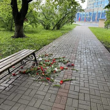 Вандалы, Общество