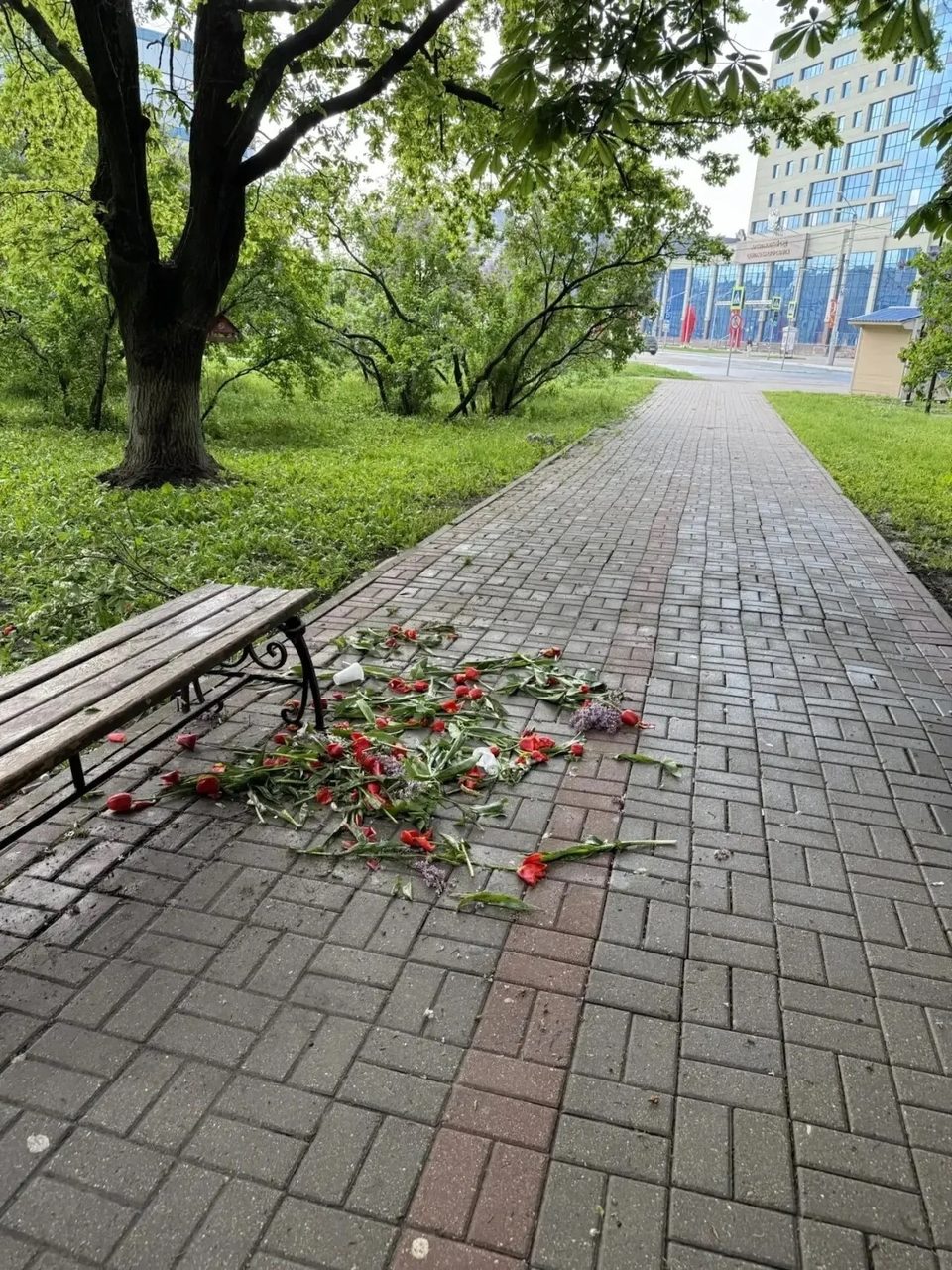 Вандалы, Общество