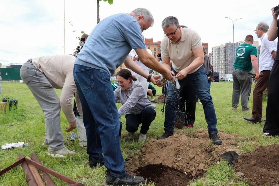 Общество, Озеленение города, Анатолий Артамонов