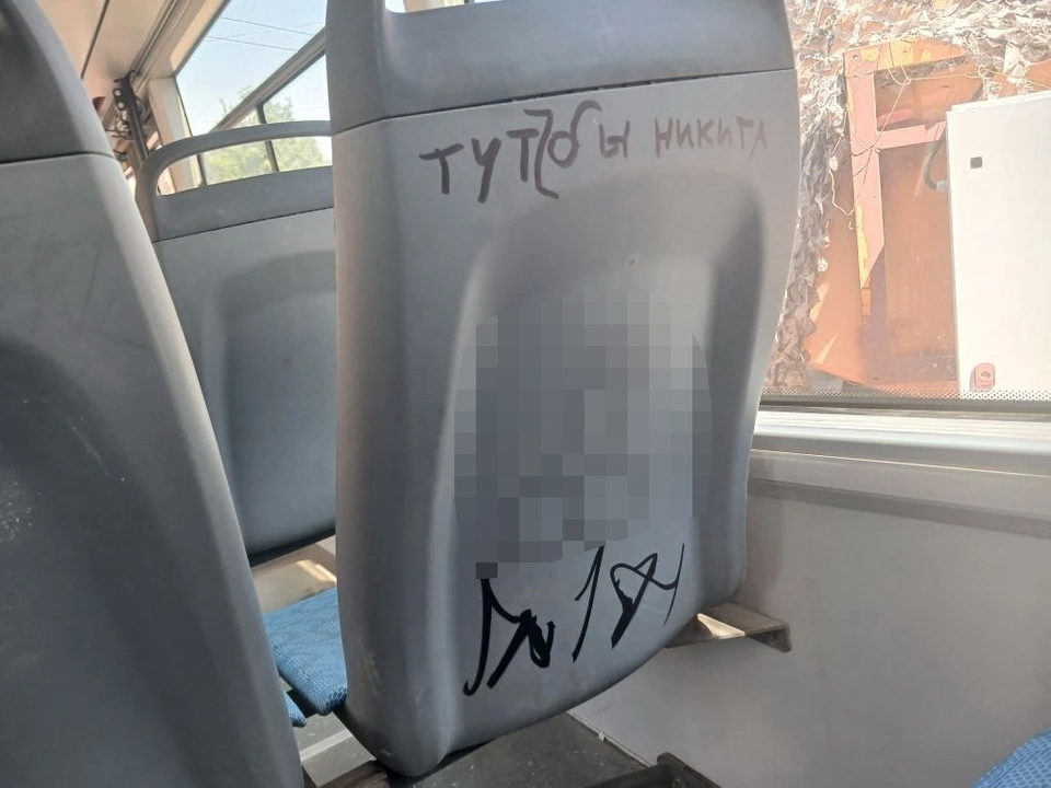 Вандалы, Дети, Общественный транспорт, Происшествия