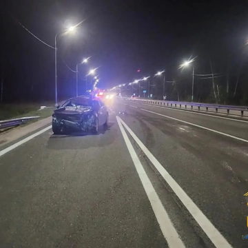 ДТП, Животные, Происшествия