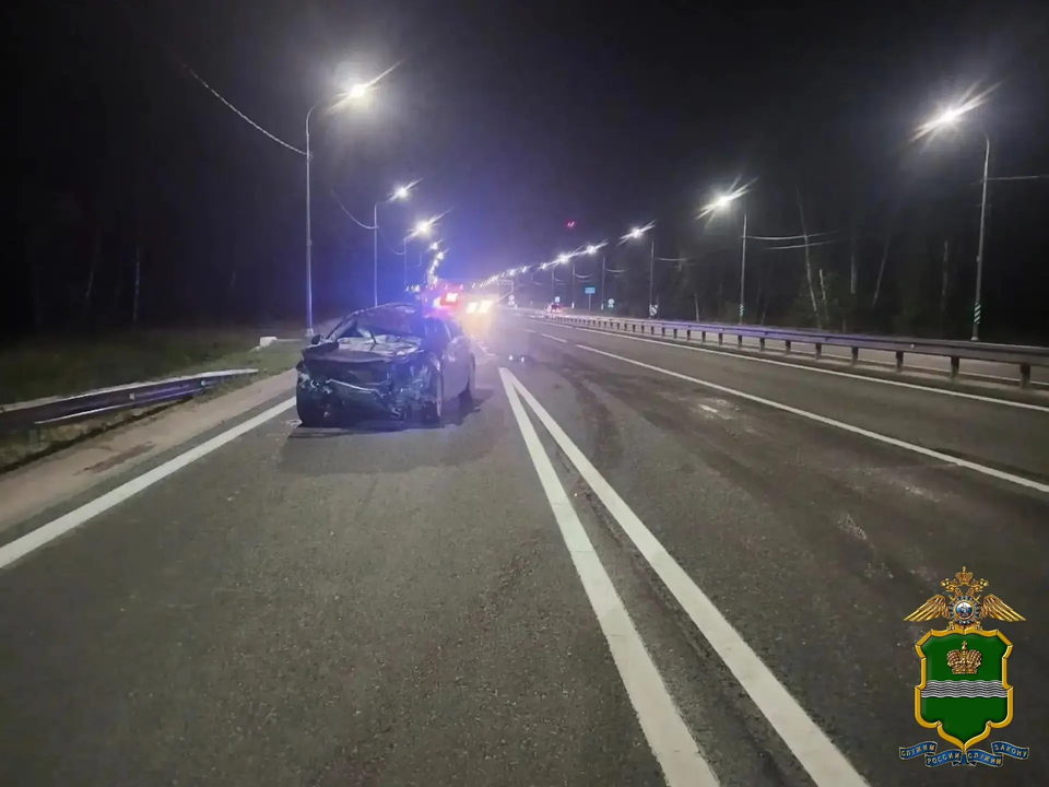 ДТП, Животные, Происшествия