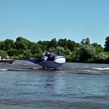 Общество, Река Ока, Тарусский район
