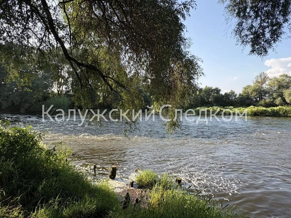 Водоемы, Несчастный случай, Происшествия, Калужская область, Река Протва, Тарусский район