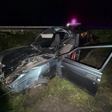 ДТП, Животные, Происшествия, ГИБДД, Перемышльский район