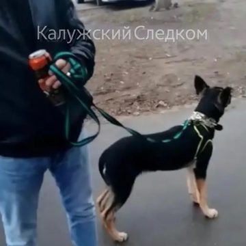 Живодеры, Избиение, Криминал, Нападение, Хулиганство, Город Обнинск, Калужская область