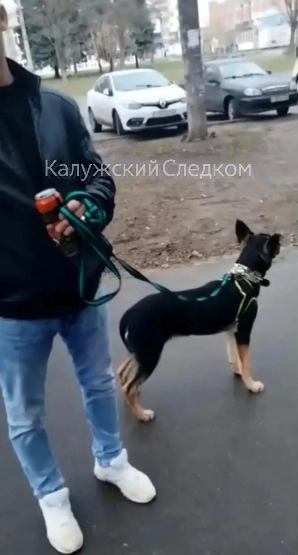 Живодеры, Избиение, Криминал, Нападение, Хулиганство, Город Обнинск, Калужская область