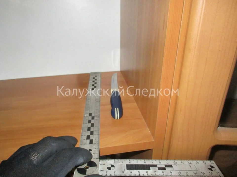 Покушение, Поножовщина, Убийство, Город Киров, Калужская область
